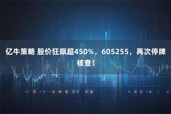 亿牛策略 股价狂飙超450%，605255，再次停牌核查！